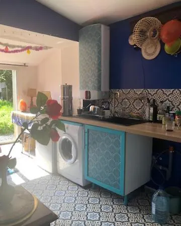 Maison Et Jardin Avec Entree Independante Et Ses 2 Chats Saint-Paimboeuf