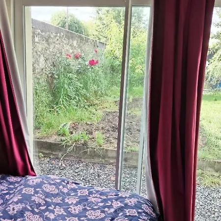 Maison Et Jardin Avec Entree Independante Et Ses 2 Chats